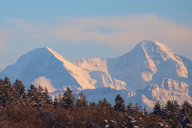 mountains, trees, snow, winter, alps, winter landscape, nature, nature wallpaper, canton bern, switzerland. Choix du site en Suisse : fiscalité, aménagement du territoire et marché du travail
